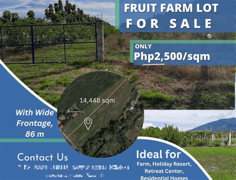 land for sale in pampanga philippines.